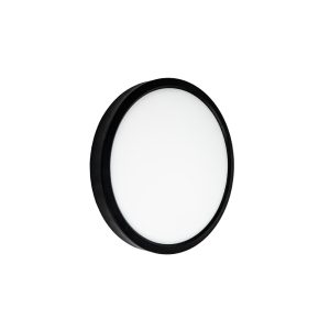 LED lamp ceiling MILLENNIUM black Violux round 26W 5000K IP40
