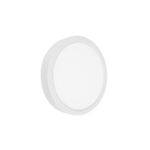 LED lamp ceiling MILLENNIUM white Violux round 26W 5000K IP40